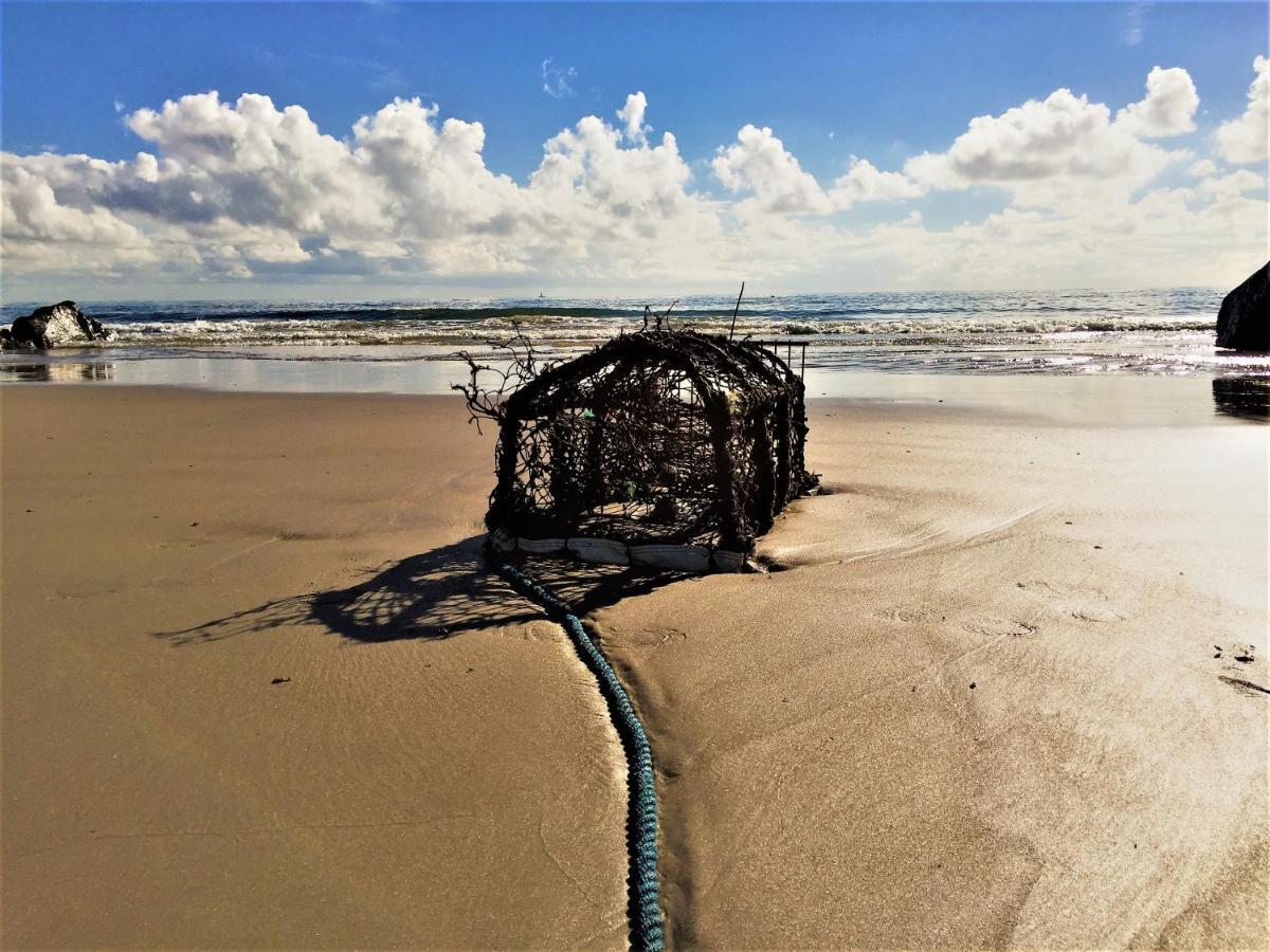 St Awaries Studio Rosslare Harbour Exterior foto